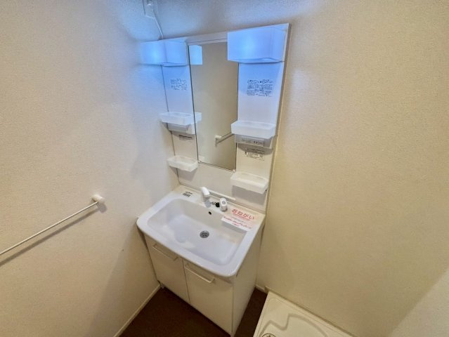 メゾングレースの洗面所