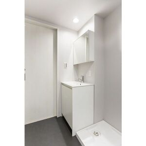 アルナージ川西の洗面所