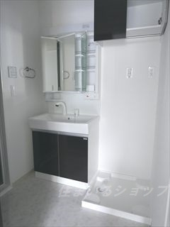 広島市安佐北区亀山４丁目のアパートの洗面所|三面鏡付きシャンプードレッサー