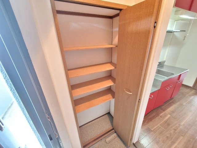 パークマンション諏訪の収納|こまごまとしたものを収納できそうですね