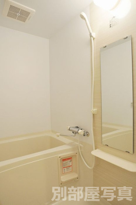 【展望】 | Marquise Takamiya