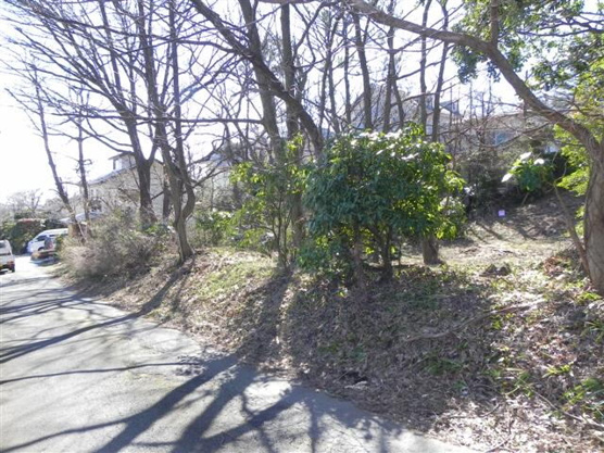 【外観】 | 大室高原別荘地　売地