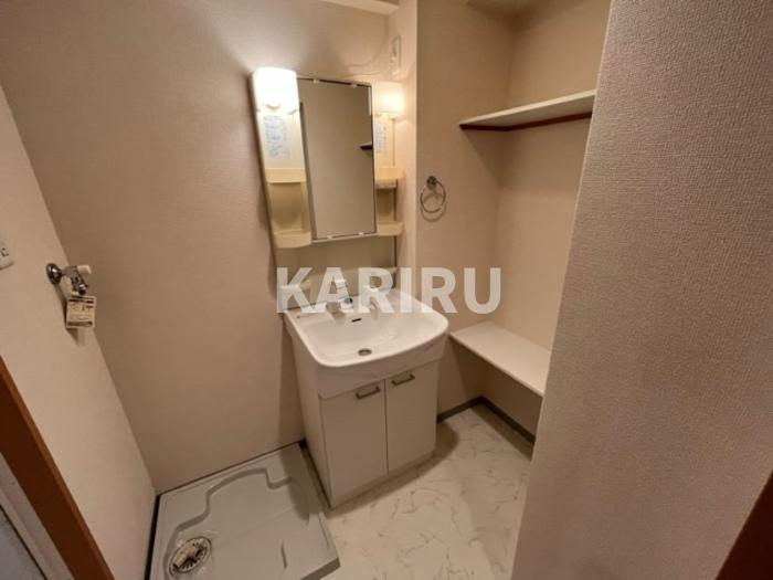 メゾン バイタル　Ｄ棟の洗面所