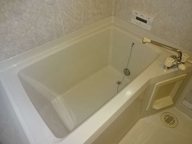 プティ・パレの浴室