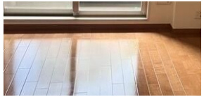 【居間・リビング】 | ネオマイム文京音羽