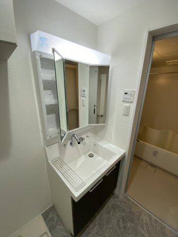 アルテマイスターレオの洗面所