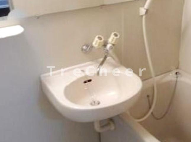 三園さえぐさマンションの洗面所