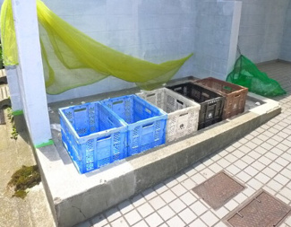 【その他共用部分】 | サニーパレス南