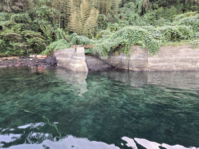 【周辺】 | 【宅地込み】神造島　土地