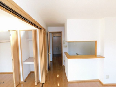 【その他】 | プラシード