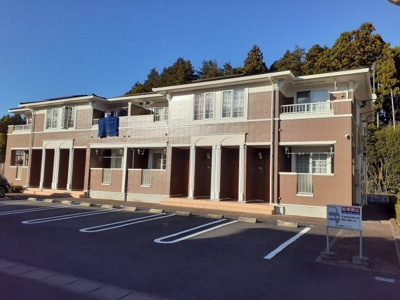 【外観】 | アビシニアンＤ