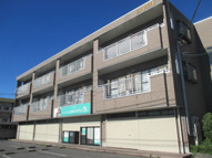 ＳＡＰＨＹ（サフィー）の画像