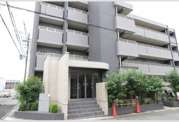 セレネイド(serenade)