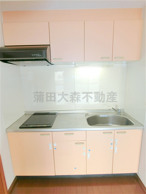 ウイングピア美園のキッチン|2口IHシステムキッチン