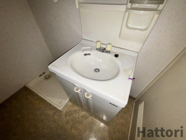 ハイム　ヤノウの洗面所