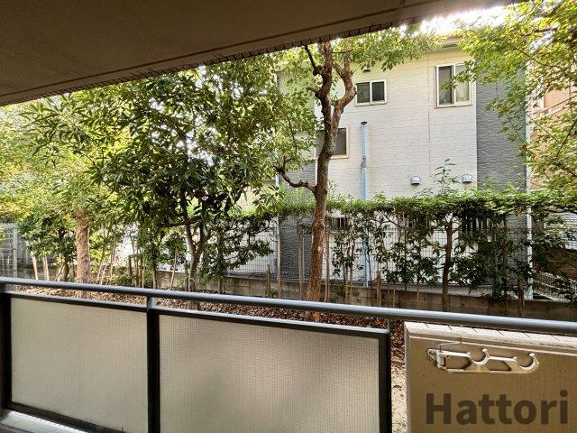 ハイム　ヤノウの展望