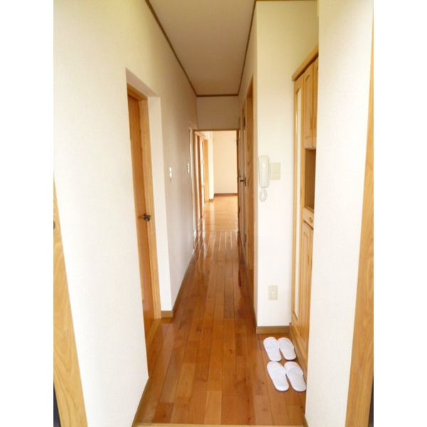 スペースフォーの玄関|玄関からの眺めです