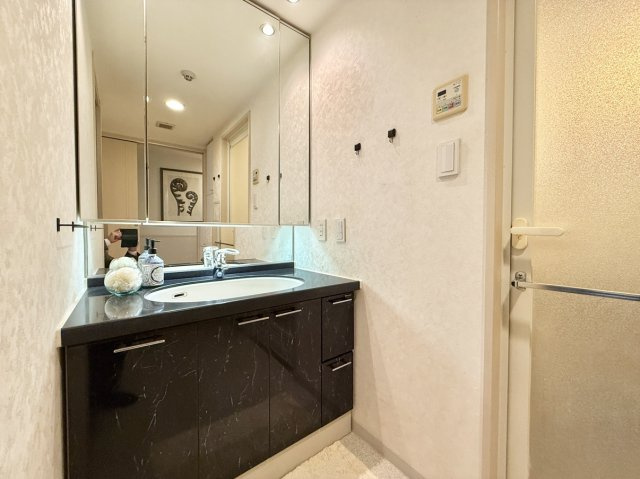 東急ドエル・アルス住吉本町グランスティージュの独立洗面台