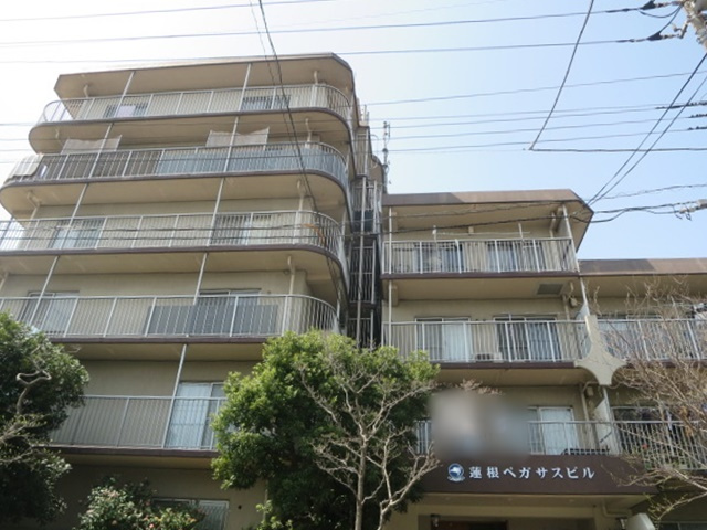 蓮根ペガサスビル