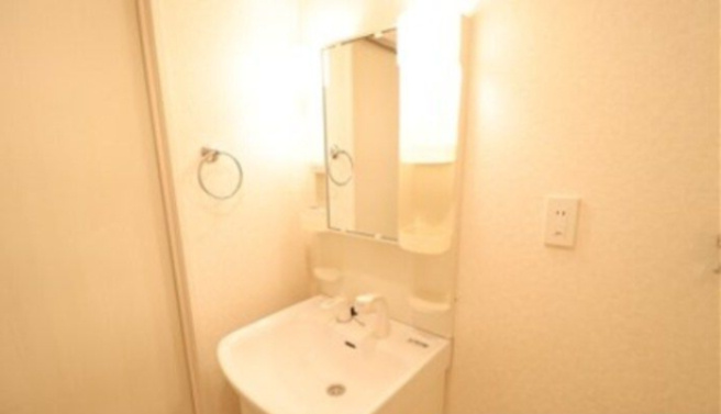 リュージュの独立洗面台