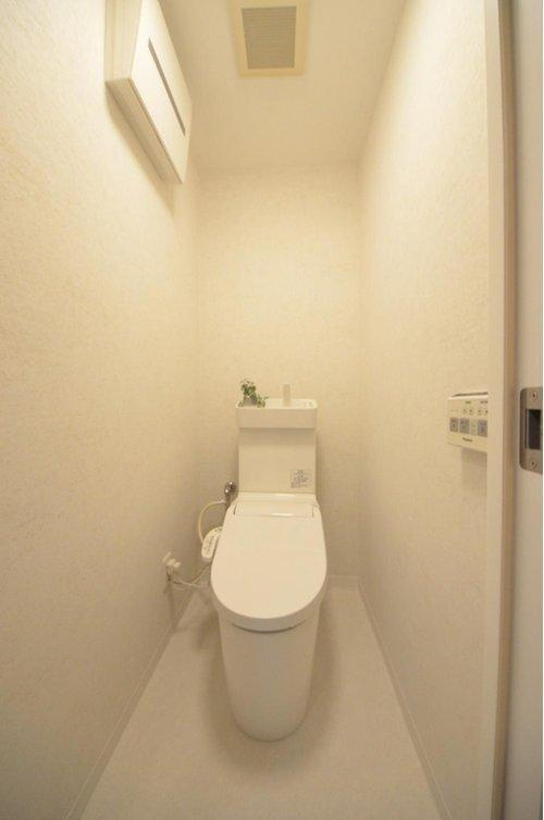 ダイアパレス己斐のトイレ|収納スペースのあるトイレ。勿論ウォシュレット付きです