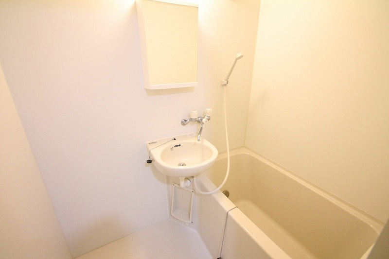 メゾン・ドゥ・レイリーＣ棟の浴室|浴室