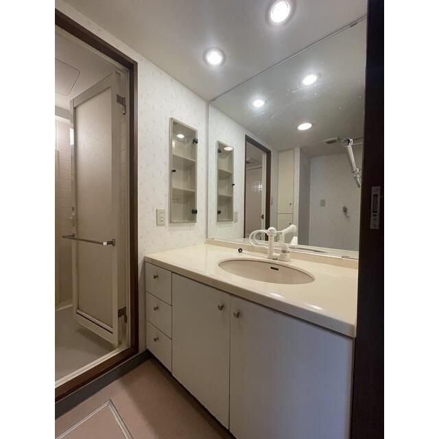 藤和ライブタウン新検見川の洗面所