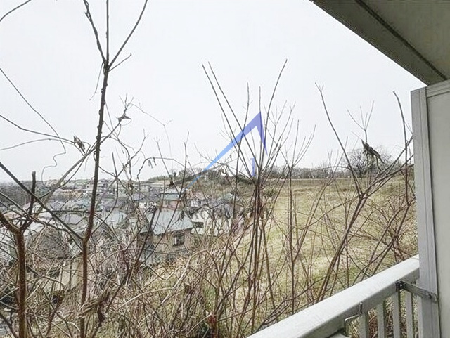 メゾン・ド・ブラン東海大学前ＡＢの展望|眺望です。