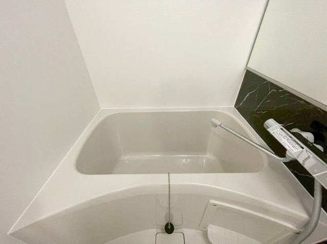 アドバンス新大阪ラシュレの浴室