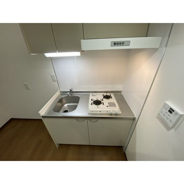 アースクエイク豊II　名古屋市賃貸　仲介手数料無料のキッチン