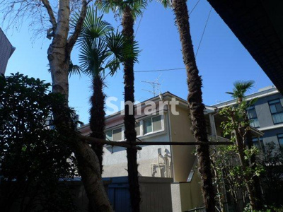 【展望】 | コスモス沼袋