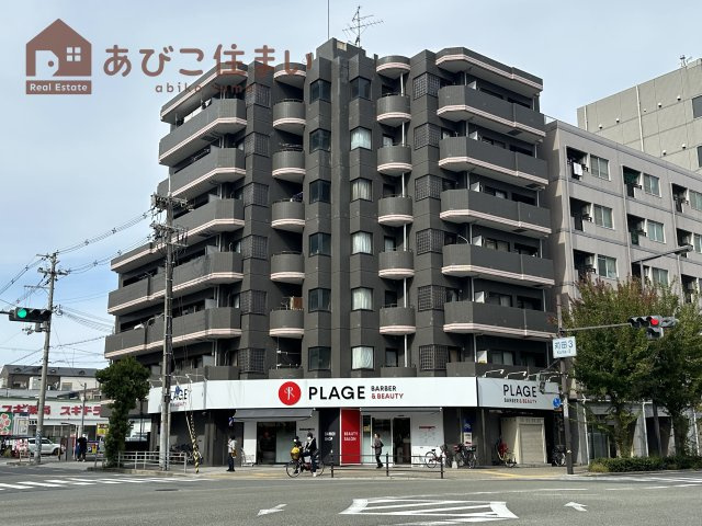 ラフォーレ我孫子筋の外観