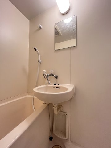 カルムⅣの洗面所