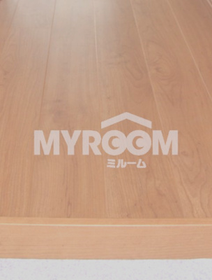 【玄関】 | フェリスサイン | 玄関（同一仕様写真）