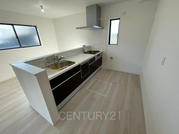 前橋市東善町１期２号棟のキッチン|シンクも大きく洗い物もしやすい浄水器付。シャワーヘッドは引き出し可能、シンクの隅々まで洗い流せます。
食器洗い乾燥機付きです。