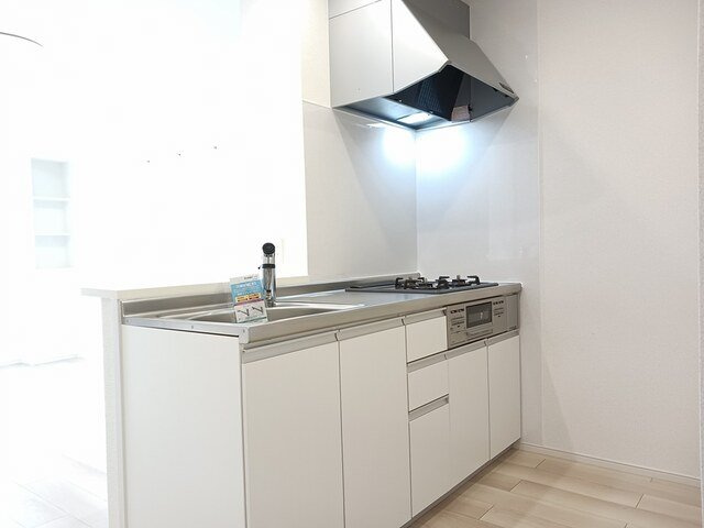 グラン・ダイナⅠのキッチン|キッチンです