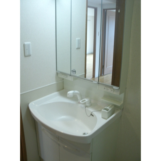 シャンテメゾン田仲の洗面所