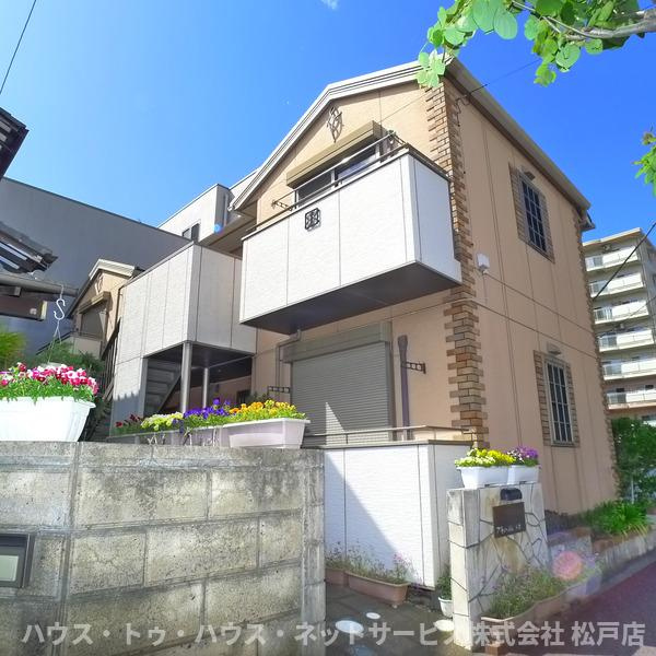 プチハイムレオ