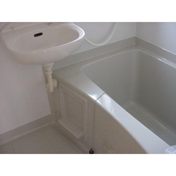 プチハイムレオ