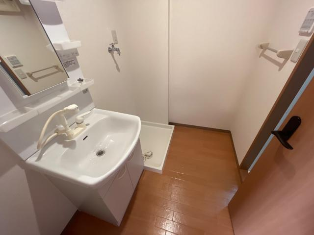 ルミナスハイツＮのその他|脱衣所