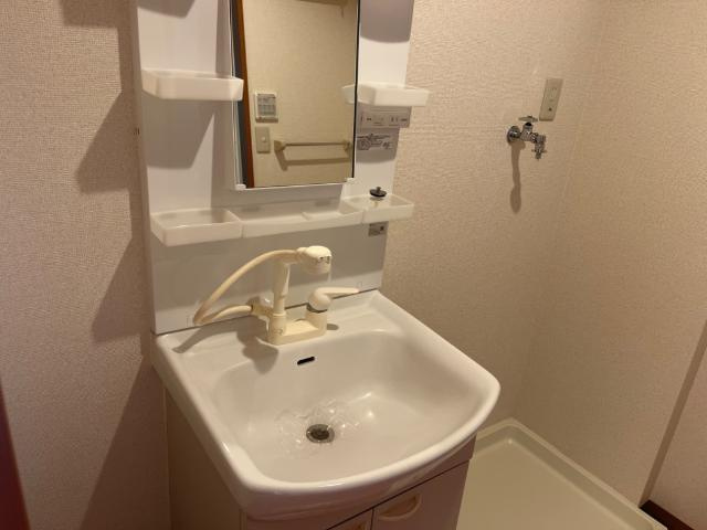 ルミナスハイツＮの洗面所|洗髪洗面化粧台