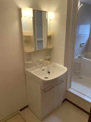 【独立洗面台】 | フローラルコート Ｃ | 洗髪洗面化粧台