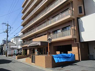 【外観】 | 【上質リノベ】ライオンズマンション楽々園駅前