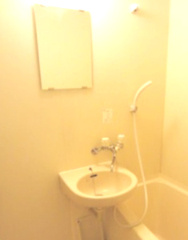 エクセリア荻窪の洗面所