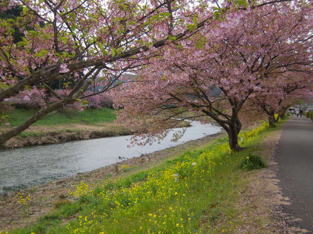 M0112R　サクラパレスの周辺