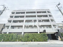 アルテカーサアリビエ綾瀬の画像