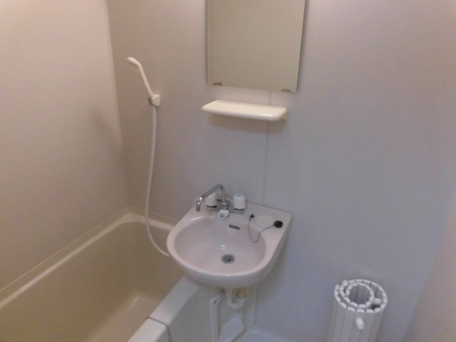 浴室内の洗面台です