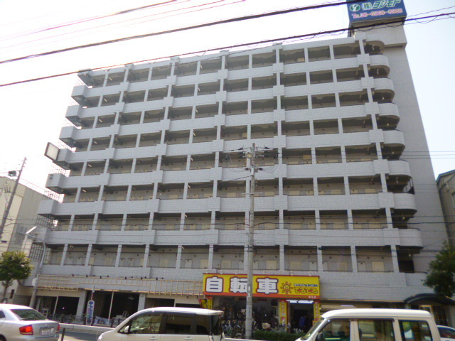 ずっしりした外観です