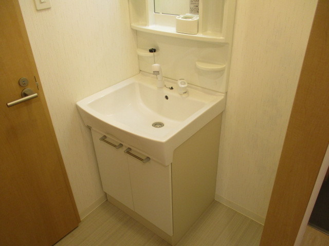 シャンプードレッサーは忙しい朝の強い味方ですね