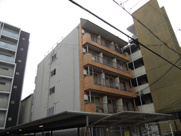 シロハイヌ新大阪の画像